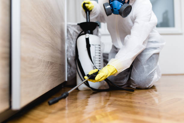 Best Exterminator Services  in Yaeyville, NC